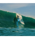 Channel Islands Mikey February Fish 5'9 banglentė